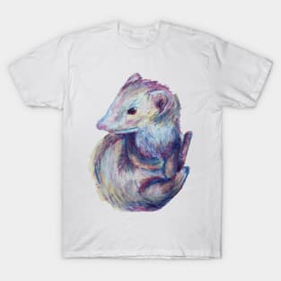 My Friends Ferret T-Shirt